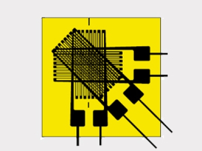 韓國CAS凱士3-Element Rosette RS-Series  應(yīng)變器