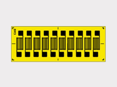 韓國CAS凱士Strip Gage SH-Series  應(yīng)變器