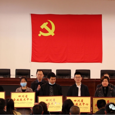 四川奇石緣科技公司獲評(píng)“四川省企業(yè)技術(shù)中心”